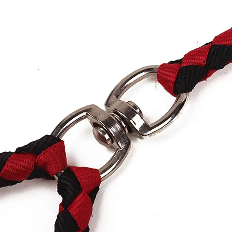 Double Dog Leash for Outdoor Training