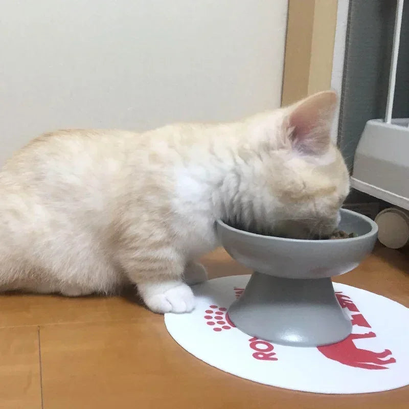 Elevated Ceramic Cat Bowl