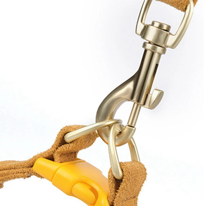 Soft Breathable Adjustable Dog Harness and Leash Set
