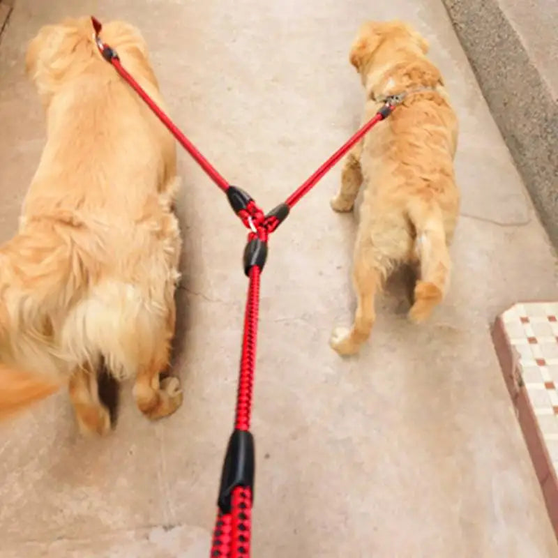 Double Dog Leash for Outdoor Training