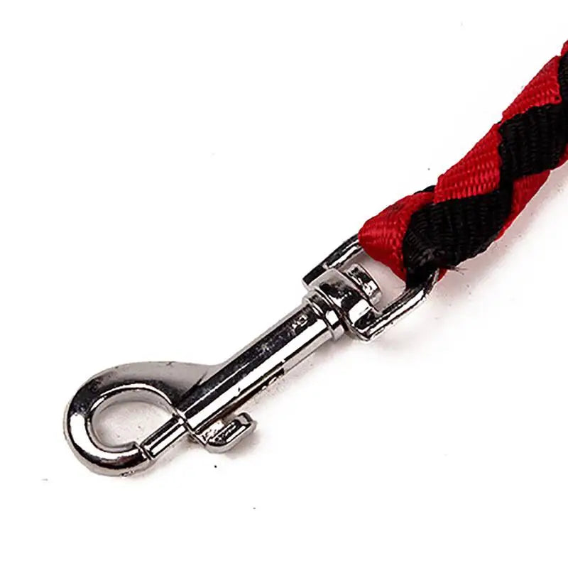 Double Dog Leash for Outdoor Training