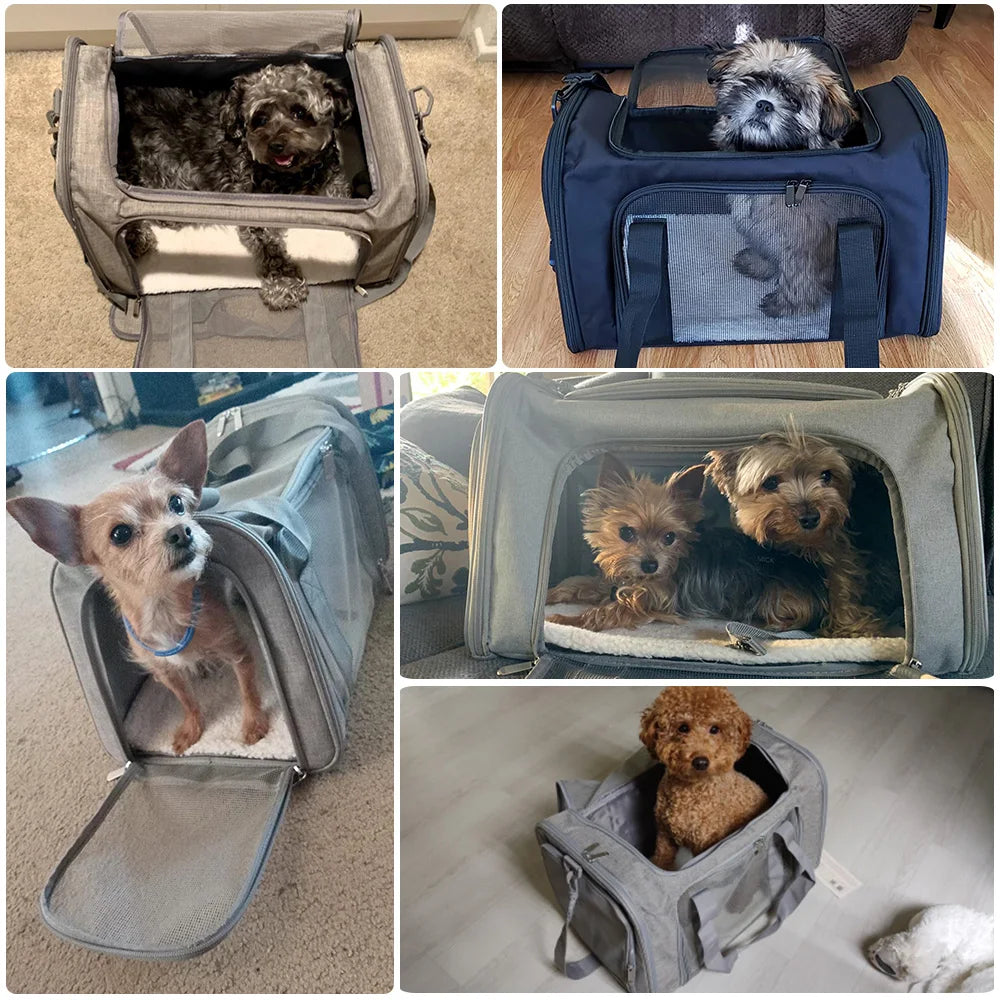 Airline-Approved Soft-Sided Pet Carrier Backpack for Small Dogs and Cats